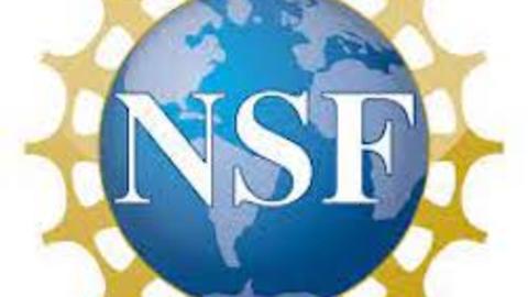 NFS logo